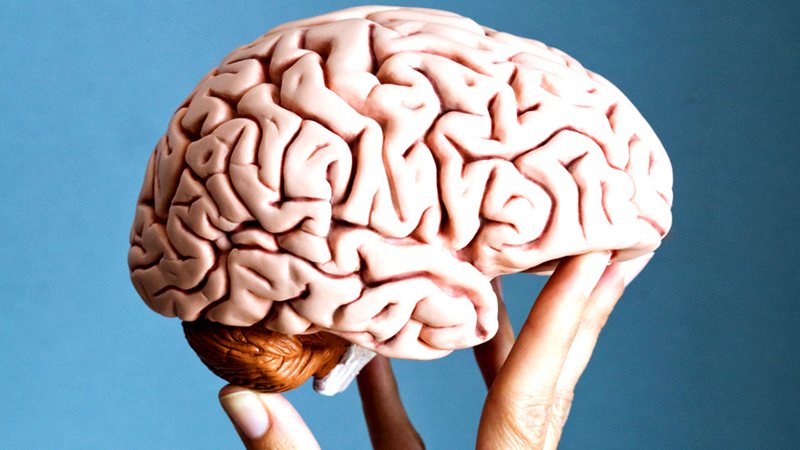 Jogar protege o cérebro do envelhecimento, mostra novo estudo