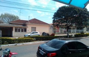 Animais circulam pelas ruas e avenidas de Monte Santo de Minas