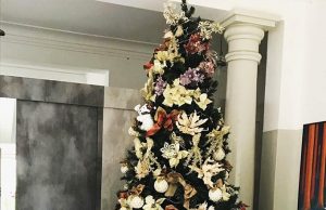 Prefeitura inicia os preparativos para o Natal