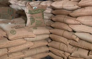Exportações de café brasileiro atingem 3,4 milhões de sacas em outubro