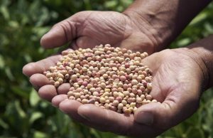 EXPORTAÇÕES BRASILEIRAS DO AGRO SE MANTÊM ESTÁVEIS NO 1° TRIMESTRE