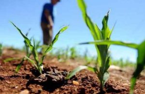 Governo anuncia medidas econômicas para ajudar produtores rurais afetados pela pandemia do Coronavírus