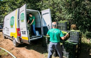 Mesa Brasil Sesc já distribuiu mais de 5,4 mil toneladas de alimentos no país, durante o isolamento social