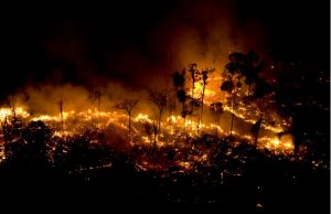 Desmatamento e fogo podem agravar pandemia na Amazônia