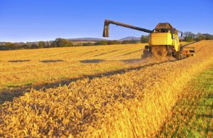 Embrapa e Apex-Brasil buscam inserir agro brasileiro em cadeias globais de valor