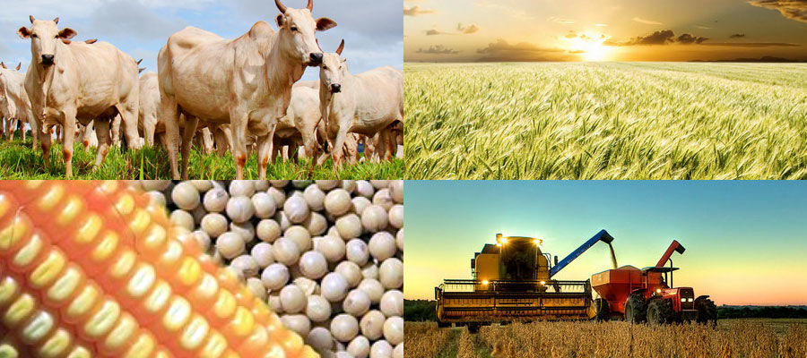 Estado lança programa de fiscalização preventiva na agricultura ...