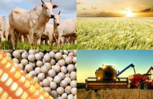 Estado lança programa de fiscalização preventiva na agricultura