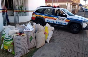 Polícia Militar de Monte Santo de Minas prende suspeitos de furto e receptação de sacas de café