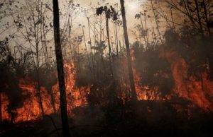 Inverno amazônico é única esperança para conter queimadas