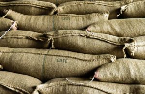 Cooperado da Cooxupé já vendeu 80% da safra 2020 de café; seca impactará 2021