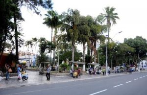 Quatro macrorregiões regridem na reabertura econômica