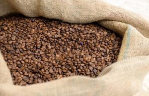 Cafeicultores pedem renegociação de dívidas