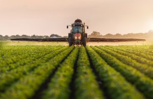 Associadas do Sindiveg investiram R$ 700 milhões na cadeia de produção de alimentos em 2020, aponta Sindiveg