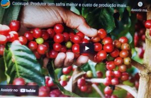 Cooxupé: Produtor tem safra menor e custo de produção mais elevado em 2021; atenções voltadas para as restrições na colheita
