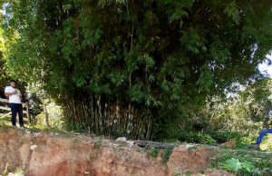 “Ponte da Dona Geralda”, no Bairro Rural Lagoa, necessita de conserto com urgência, destaca o vereador João do Kinca
