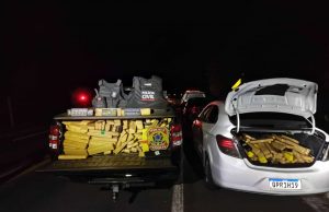 Força Integrada apreende drogas