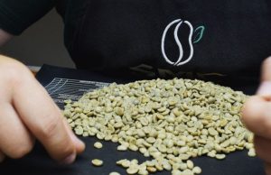 Programa Especialíssimo anuncia amanhã o melhor café da Cooxupé