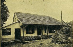 Pioneira do cooperativismo de crédito no Brasil, Sicredi completa 119 anos de história