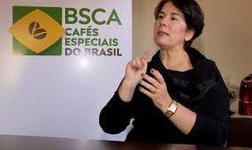 Vanusia Nogueira é a nova diretora executiva da OIC