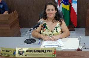 Dedetização contra Infestação de borrachudos e pernilongos no Cemitério Municipal, foi a solicitação da vereadora Juliana