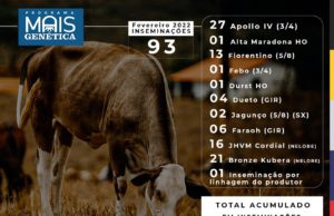 Programa Mais Genética – Inseminação Artificial em Bovinos 🐮