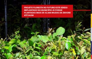 Projeto Floresta no Futuro está sendo implantado no município já foram plantadas mais de 42.000 mudas de árvore até 04/08