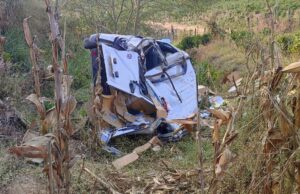 Motorista perde controle em curva e capota carro na BR-491, em Muzambinho, MG