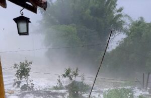 Mais de 16 mil hectares foram atingidos pelas chuvas de granizo no estado
