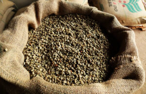 Produtoras de MG e ES vencem 19º Concurso Nacional ABIC de Qualidade do Café – Safra 2022