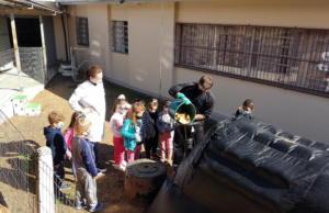 Programa Escolas + Verdes quer estimular ações sustentáveis na educação