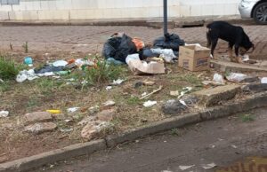 Terreno vago está sendo utilizado como depósito de lixo incorreto e moradores do local reclamam