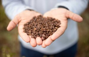 São Sebastião do Paraíso recebe Feira Tecnológica do Café até o próximo sábado