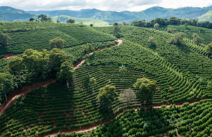PIB de Minas Gerais cresce 4,2% no acumulado do ano até setembro