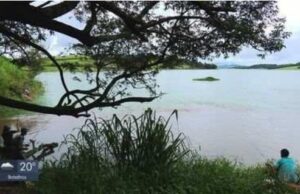 Lago de Furnas tem melhor nível para janeiro dos últimos 10 anos, aponta ONS