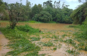 Açude transborda na zona rural de Guaxupé após chuvas intensas