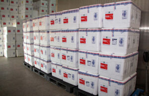 Minas inicia nova distribuição de 70 mil doses de vacinas contra covid-19