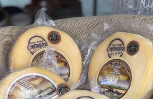 Queijo Minas Artesanal da Canastra é eleito 12º melhor do mundo