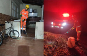 Cobra cascavel é capturada dentro de garagem de residência em bairro de São Sebastião do Paraíso, MG