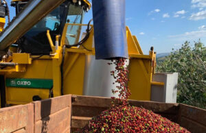 Brasil apresenta respeito socioambiental de seu café a membros da EU