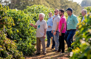 Dia de Campo reúne especialistas e produtores em programação sobre avanços na cafeicultura