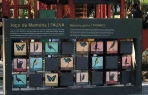 Vereador propõe instalação de Jogo da Memória no Parque Municipal Mauro Baldo para estimular capacidade cognitiva
