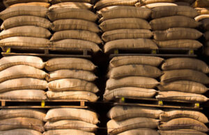 Produção mundial de café estimada em 171,3 milhões de sacas para safra 2022-2023