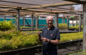 A illycaffè é parceira do Viveiro de Atitude, programa socioambiental brasileiro que em 3 anos já ajudou mais de 17 mil pessoas