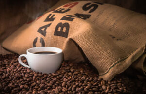 Sudeste tem 88,4% do faturamento das lavouras de café em 2023