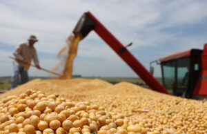 Exportações do agro mineiro alcançam US$ 7 bilhões no 1º semestre de 2023