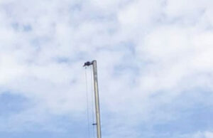Vereador solicita retorno da Bandeira do Município que ficava hasteada no Largo da Bandeira, na Av. Vital Paulino da Costa