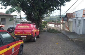 Chuva de granizo com vendaval derruba árvores e causa transtornos em Guaxupé, MG