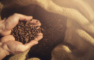 Produção mundial de café estimada em 171,3 mi de sacas no ano-cafeeiro 2022-2023