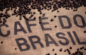 Produção de café do Brasil em 2024 pode crescer para até 71 mi sacas, diz Safras