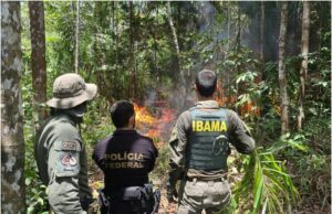 Operações na TI Yanomami já destruíram 78 motores de garimpeiros apenas em 2024